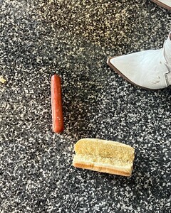 alix_earle posts 2023-09-27 04.05 CxrAi0xvh06_3_8 382894529_714497397189801_4026031230714450430_n.jpg