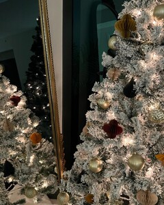 alix_earle posts 2023-12-04 06.07 C0aUgBWROS3_6_7 408281928_3558772897723382_4841016004981004272_n.jpg