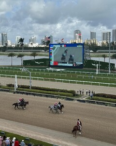 alix_earle posts 2024-01-29 02.23 C2qHXgkxSqq_3_8 422855529_272226019030805_3026999683111740995_n.jpg