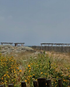 alix_earle posts 2024-07-12 05.02 C9TQtpNRDPC_6_6 451054126_493518023054035_7314098407771002485_n.jpg