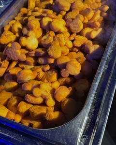 alix_earle posts 2024-10-04 03.28 DArYupLyN85_9_13 461928736_1191856401871590_4725689195587900849_n.jpg