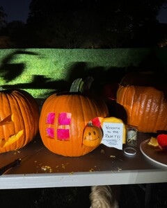 alix_earle posts 2024-10-14 00.32 DBE0ll8xQnF_12_14 462971229_428765243576840_5930479926784100036_n.jpg