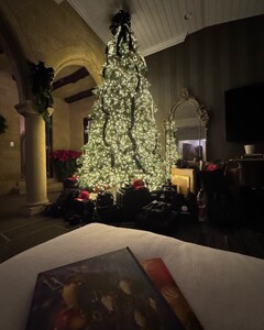 alix_earle posts 2024-12-27 01.22 DEDdIxER120_12_14 471489255_592493116706095_441012356352294867_n.jpg