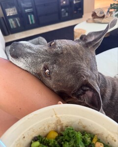 alix_earle posts 2025-05-12 07.34 DJiTy5gRXKN_14_18 497078771_18503721919029152_574012978491474382_n.jpg