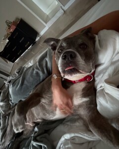 alix_earle posts 2025-05-12 07.34 DJiTy5gRXKN_5_18 496791797_18503721826029152_4946420920170608640_n.jpg