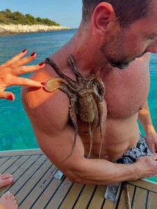 alix_earle posts 2025-07-02 01.03 DLk7jYKIN6A_15_16 515161930_18513565216029152_7311134648895960656_n.jpg