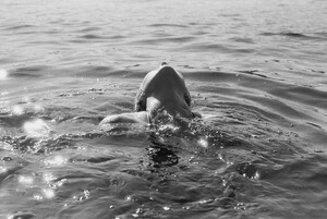 h (1608 x 1080) 07.jpg