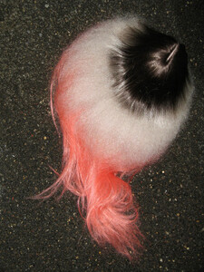 Dazed Winter 2019-2.jpg