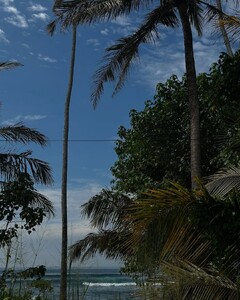 January was good,  my first solo travel 10-10 Sri Lanka is so gorgeous and the people are lovely (1).jpg