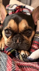 Jillian Mele - Instagram [2025.01.14] Levi.jpg