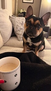 Jillian Mele - Instagram [2025.02.06] Levi.jpg