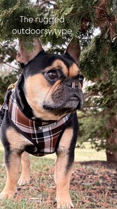 Jillian Mele - Instagram [2025.03.16] Levi.jpg