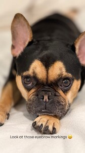 Jillian Mele - Instagram [2025.03.20] Levi.jpg