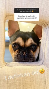 Jillian Mele - Instagram [2025.04.09] Levi 2.jpg