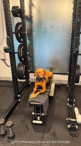 Kate Bock - Instagram [2025.09.10] Vestry.jpg