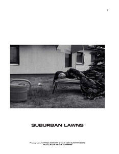 suburban_lawns_01.jpg
