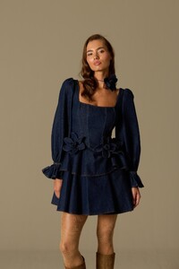tailors-rose-denim-dress-blue-denim--f850-.jpg