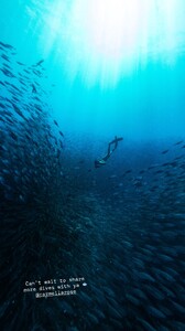 [2025.10.03] carmellarose-perrinjames1_3735611358370233281.jpg