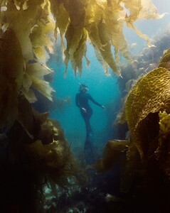 [2025.10.03] megbatphoto_558057555_18507298987068085_1020127434174137646_n.jpg