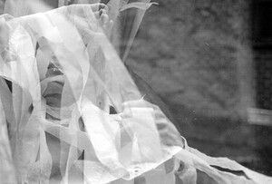 AReed - MomoMag - Asunder, ph ZenoGill -  5-alexis-reed.jpg