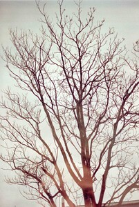 AReed - MomoMag - The Fool Am I -  16-2.jpg