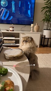 Carmella Rose - Instagram [2025.10.15] Cat.jpg