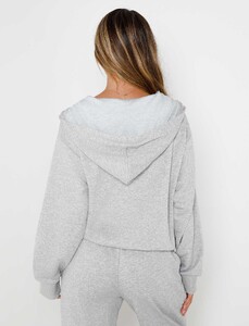 EVenz - TigerMist - TM15439_ALISH_HOODIE_GREY_5.jpg