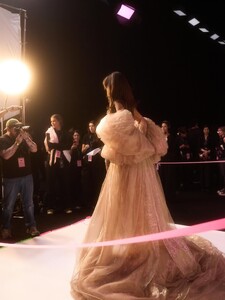 For one night we can all forget about everything and live in this dream of wings and glitter and gorgeousness together. This was my 12th show for _victoria_2.jpg