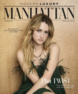 Modern Luxury Manhattan 1125.jpg