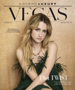 Modern Luxury Vegas 1125.jpg