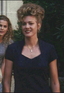 The Babysitter's Seduction (1996).png