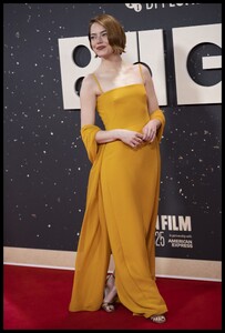 aaastrvonbb (41).jpg