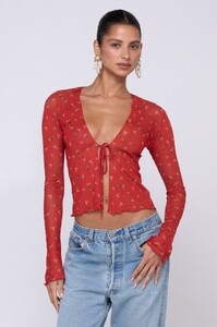 aliyah-mesh-top-in-cayenne-361305.jpg