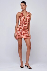 clint-dress-in-campari-4195173.jpg