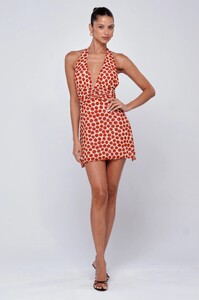 clint-dress-in-campari-6963047.jpg