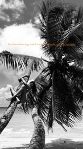 [2025.10.25] brunalirio-_rachelgill__3751706740896051261.jpg