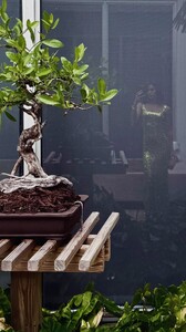 [2025.11.05] msgigiparis_3759296774277133505.jpg