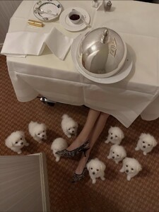 [2025.11.10] celinebethmann_575720127_18368860756158308_3741030558767368988_n.jpg