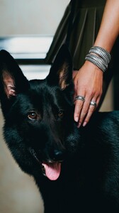 [2025.11.13] stonefruit_DRARXjGk4lw.jpg