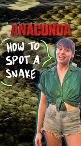 [2025.11.26] anacondamovie_DRiEY5KEmBi.jpg