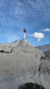 [2025.11.26] stellamaxwell_3774258945787968139.jpg