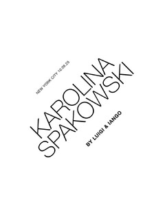 Double Vision F2025_2.jpg