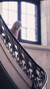 Josephine Skriver - Victoria's Secret - Instagram [2019.11.01] 3.gif