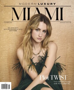 Modern Luxury Miami 1125.jpg