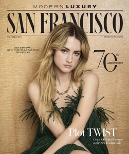 Modern Luxury San Francisco 1125.jpg