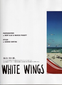 White-Wings01.jpg
