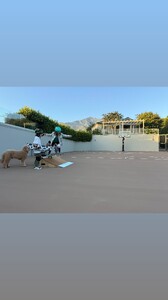 behatiprinsloo - 24599245(JPG)_1.jpg