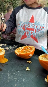 behatiprinsloo - 24599245(JPG)_2.jpg