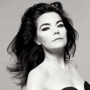 img-bjork-fig-1_110739349400.jpg