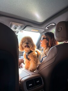 over the past few weeks (11).jpg